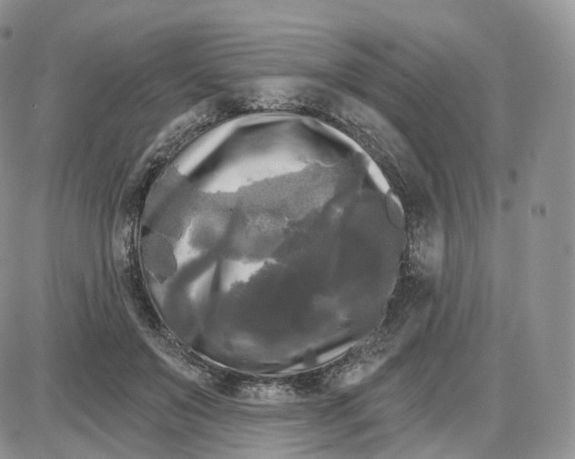 X0000087630503200705241218