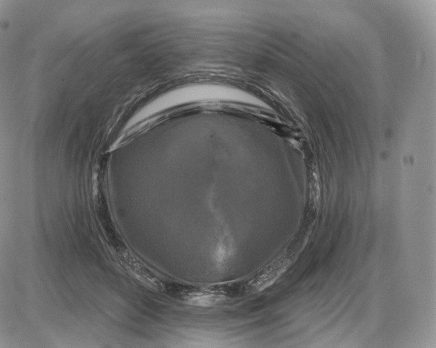 X0000087630504200705241218