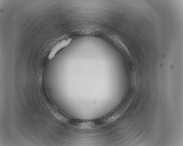 X0000087630505200705241218