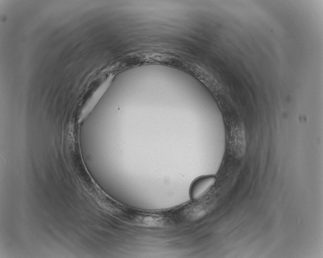 X0000087630506200705241218