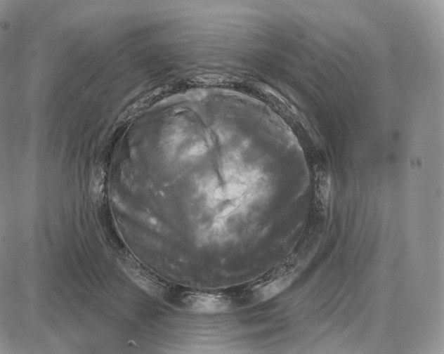 X0000087630507200705241218