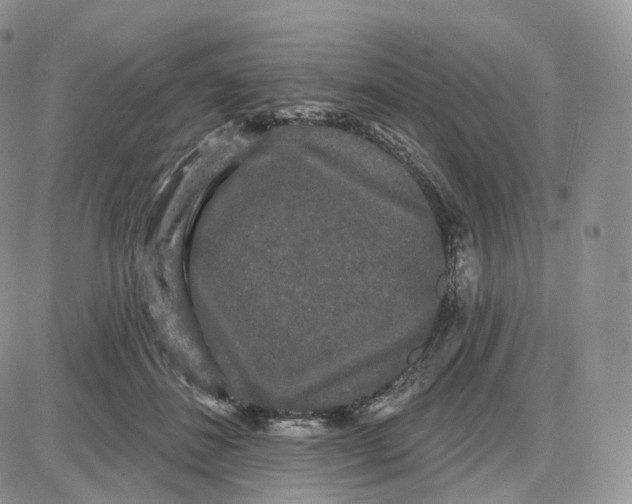 X0000087630508200705241218