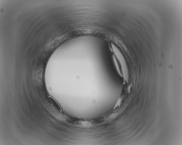 X0000087630509200705241218