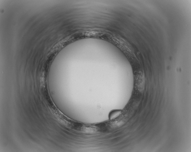 X0000087630510200705241218