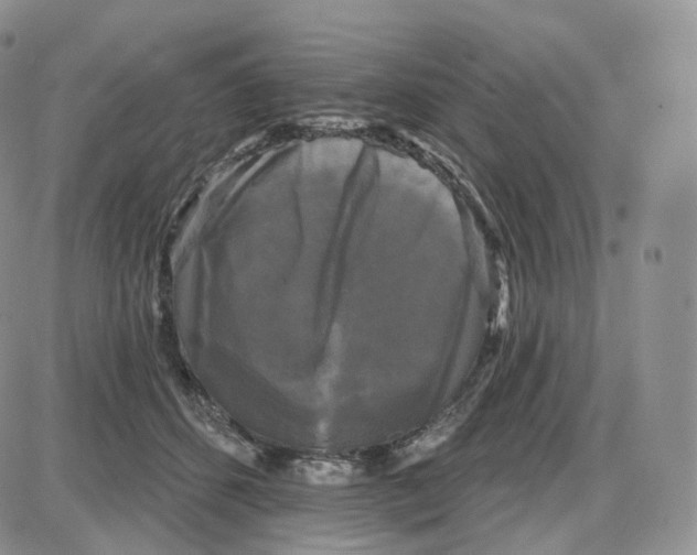 X0000087630512200705241218