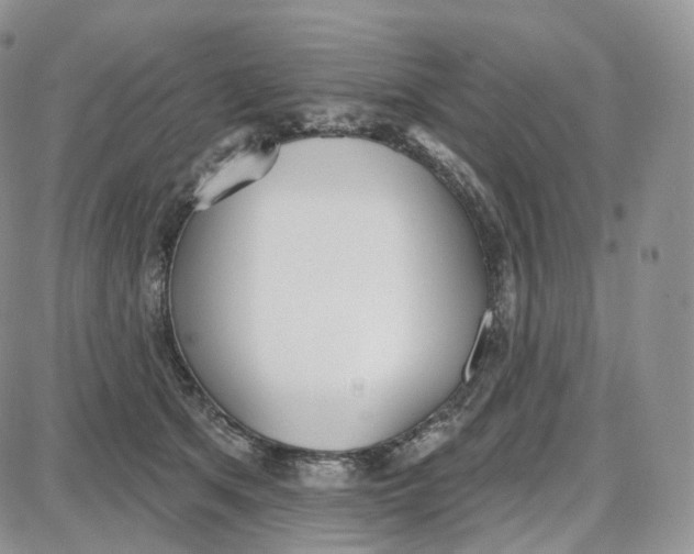 X0000087630513200705241218