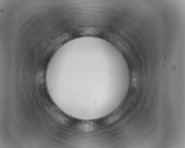 X0000087630514200705241218