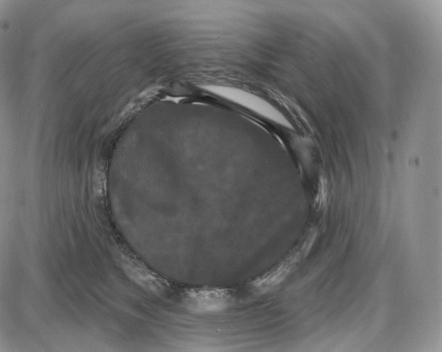 X0000087630517200705241218