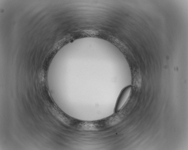 X0000087630518200705241218