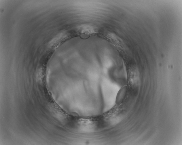 X0000087630519200705241218