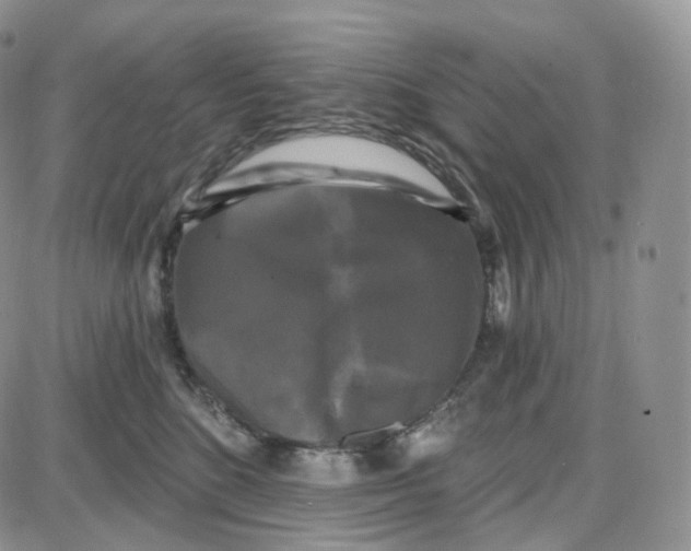 X0000087630520200705241218