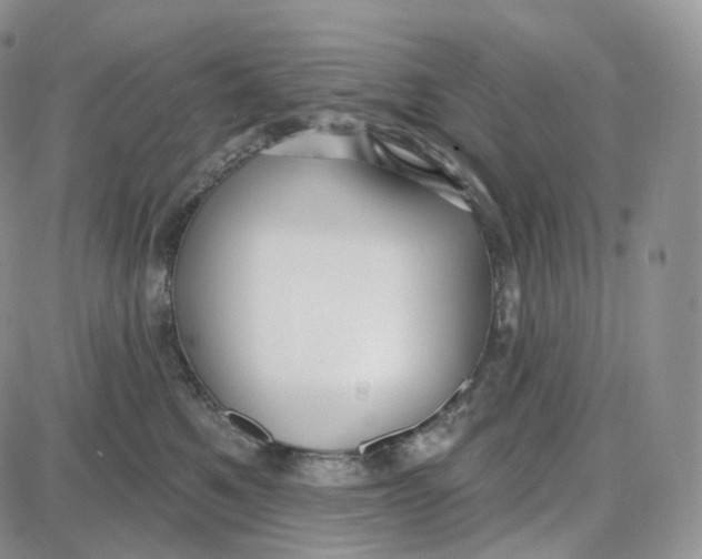 X0000087630521200705241218