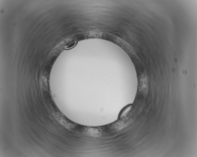 X0000087630522200705241218