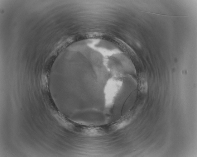 X0000087630523200705241218