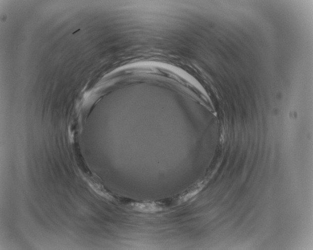 X0000087630524200705241218