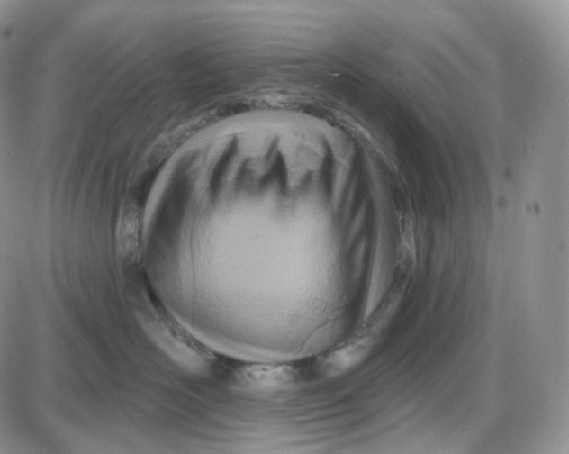 X0000087630526200705241218