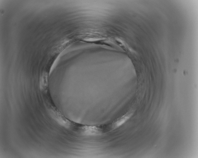 X0000087630528200705241218