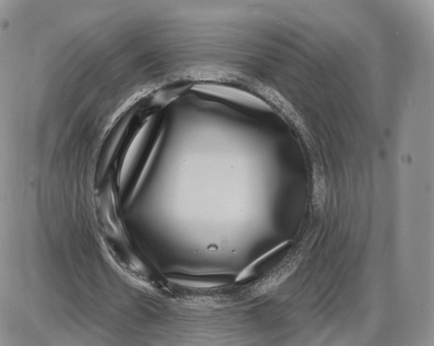 X0000087630530200705241217