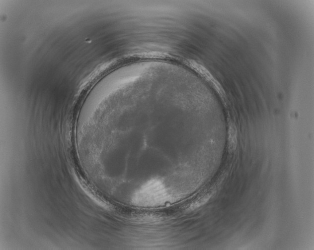 X0000087630533200705241217