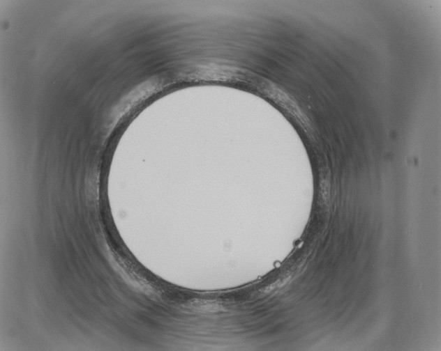 X0000087630534200705241217