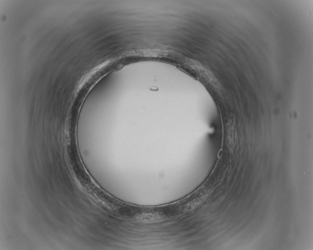 X0000087630536200705241217