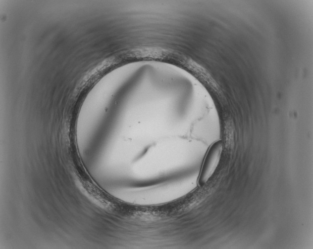 X0000087630538200705241217