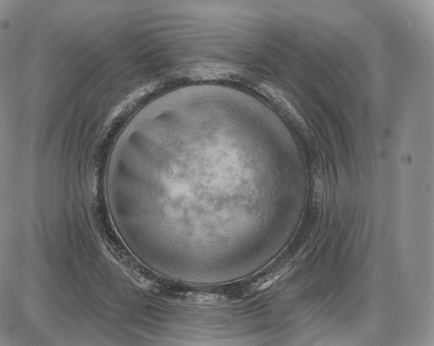 X0000087630539200705241217