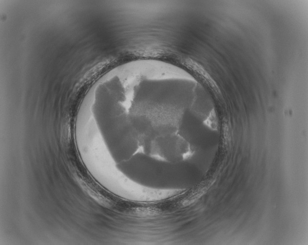 X0000087630541200705241217