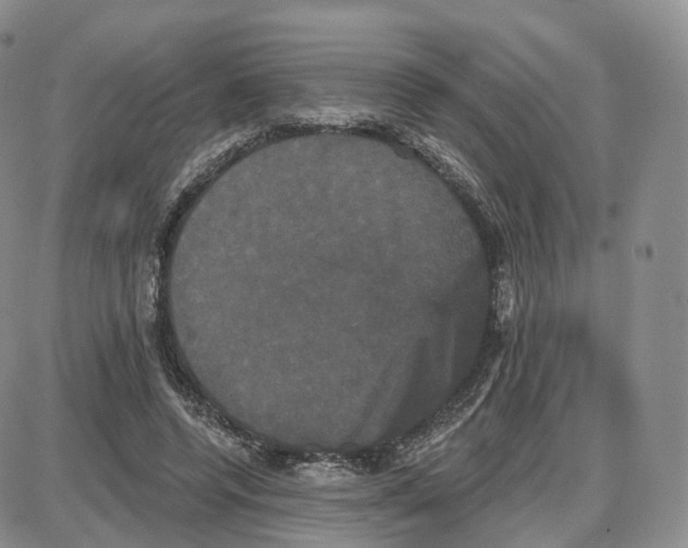 X0000087630544200705241217