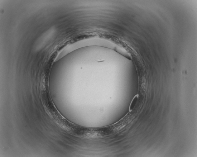 X0000087630547200705241217