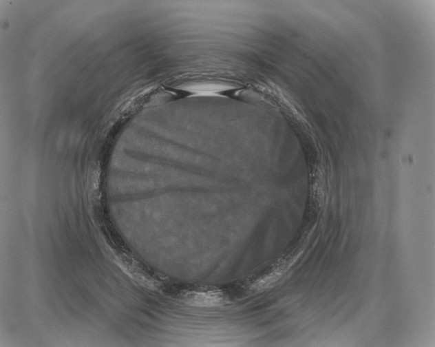 X0000087630548200705241217