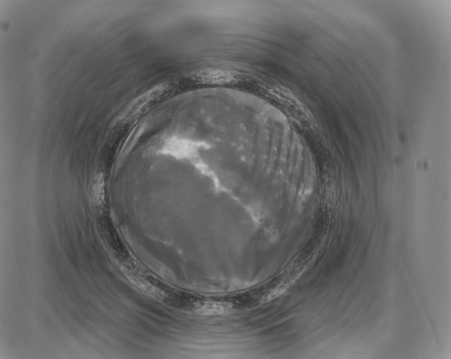 X0000087630549200705241217