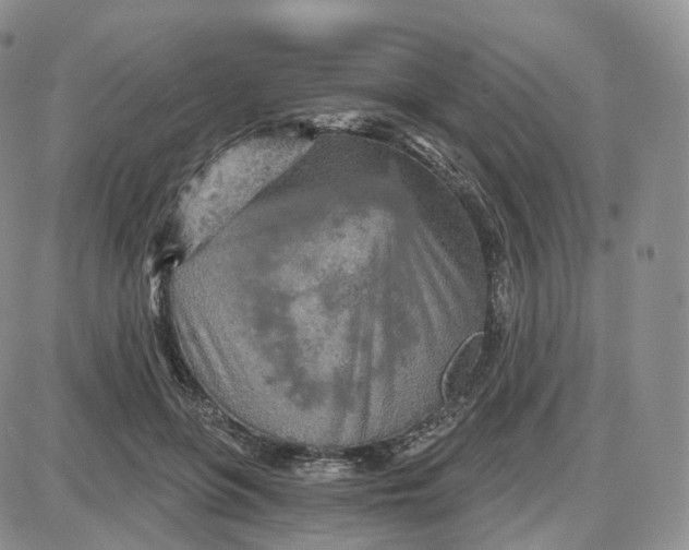 X0000087630551200705241217