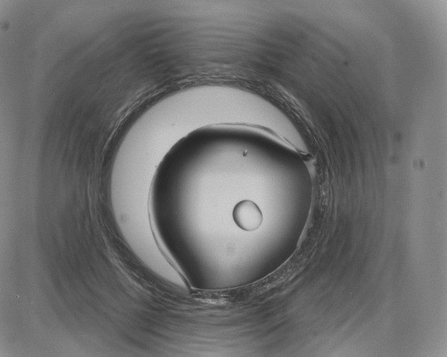 X0000087630552200705241217