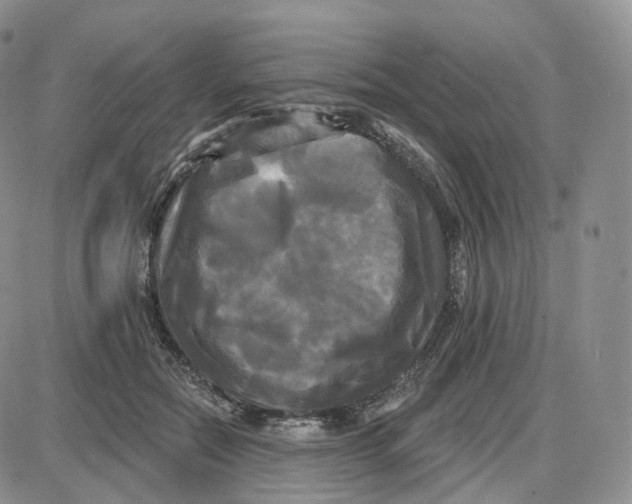 X0000087630554200705241217