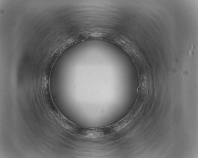 X0000087630555200705241217