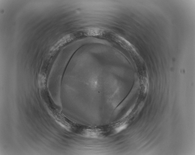 X0000087630556200705241217