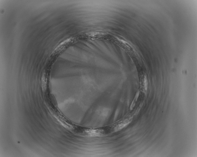 X0000087630558200705241217