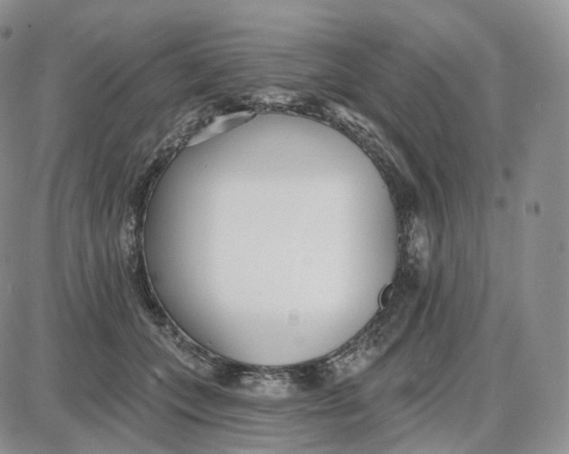 X0000087630559200705241217