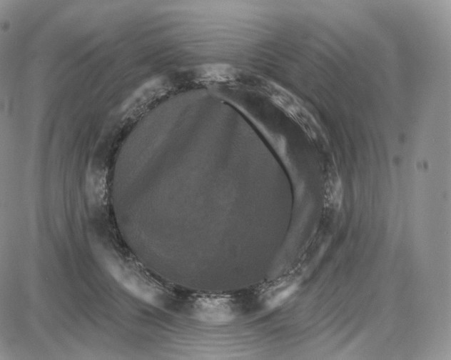 X0000087630560200705241217