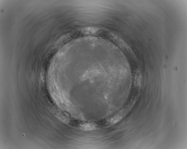 X0000087630561200705241218