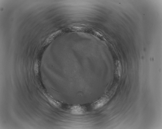 X0000087630562200705241218