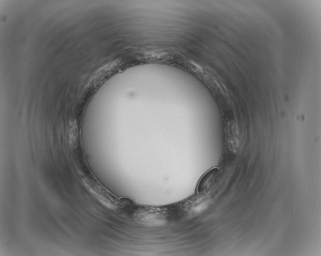 X0000087630563200705241218