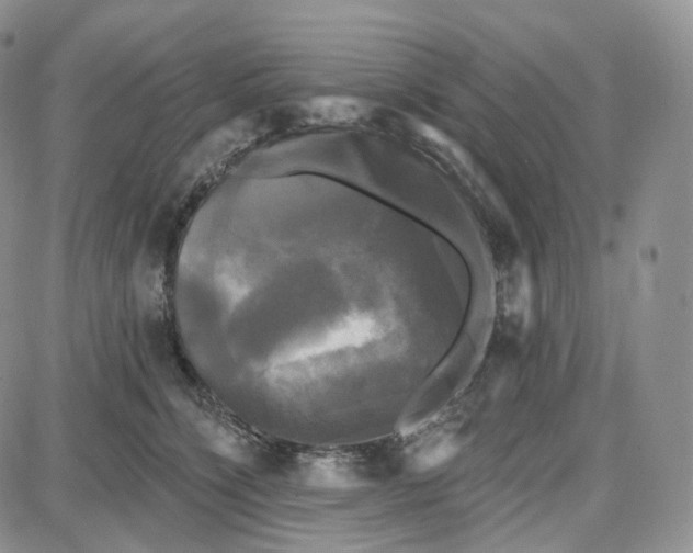 X0000087630564200705241218