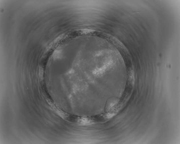 X0000087630565200705241218