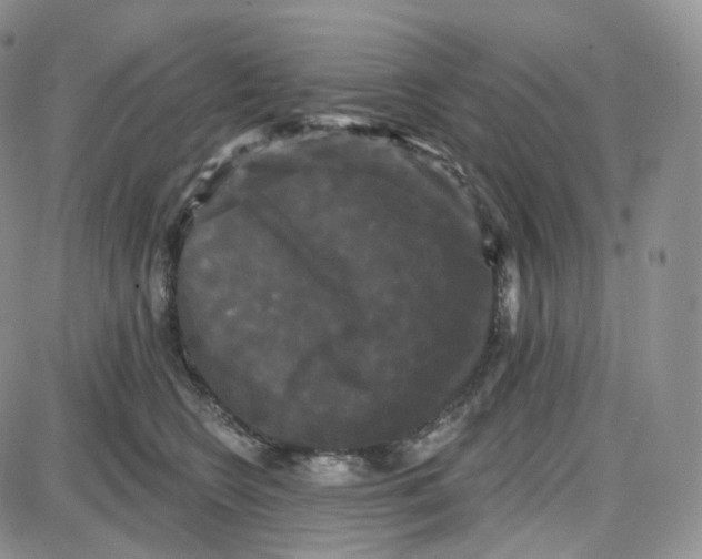 X0000087630566200705241218