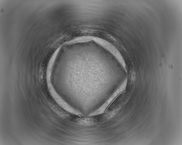 X0000087630567200705241218