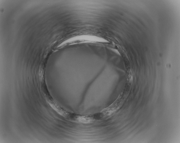 X0000087630568200705241218