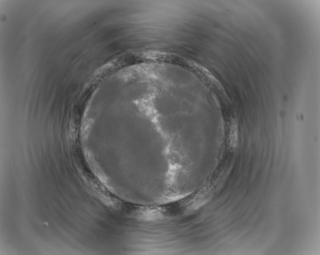 X0000087630569200705241218