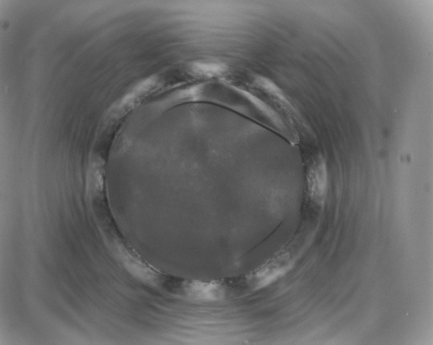 X0000087630570200705241218